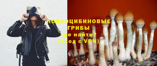 apvp Балахна