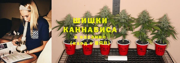 apvp Балахна