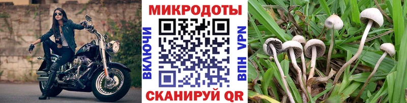 ОМГ ОМГ вход Кяхта Псилоцибиновые грибы прущие грибы где продают наркотики